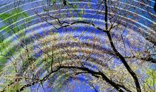 形容玩得开心得的句子