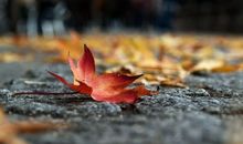 形容心痛失眠的句子