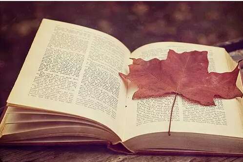 形容秋夜的句子