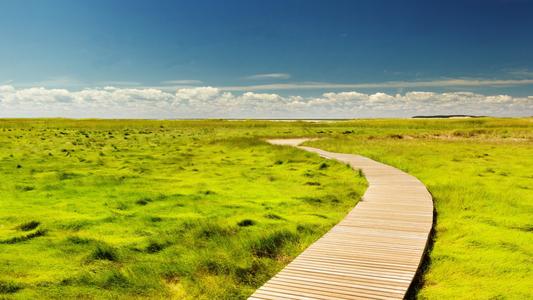 10.家庭之情,一股清澈的泉水从心脏地喷涌而出,在全身滋润,就像一阵滋润大地的清新雨水,唤起了早春的活力。