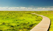 血浓于水的骨肉亲情的句子