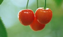 表示孙女和爷爷亲情的句子