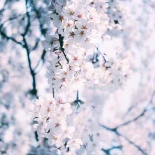 12.友谊是一座理解宏伟的路堤,强大而宏伟,可以安全地生活;