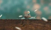 做事别让自己后悔的句子