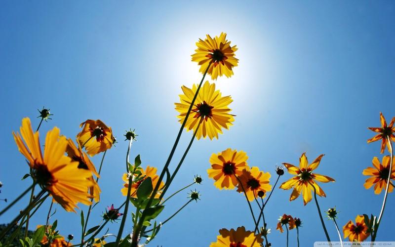 10.什么是“家”。家是一个幸福的地方。它充满了感情。在家中，无论外面有多冷，您都可以感到非常温暖。家里很累，有人让你靠，哭泣的人听你的话，甜蜜的人和你分享。