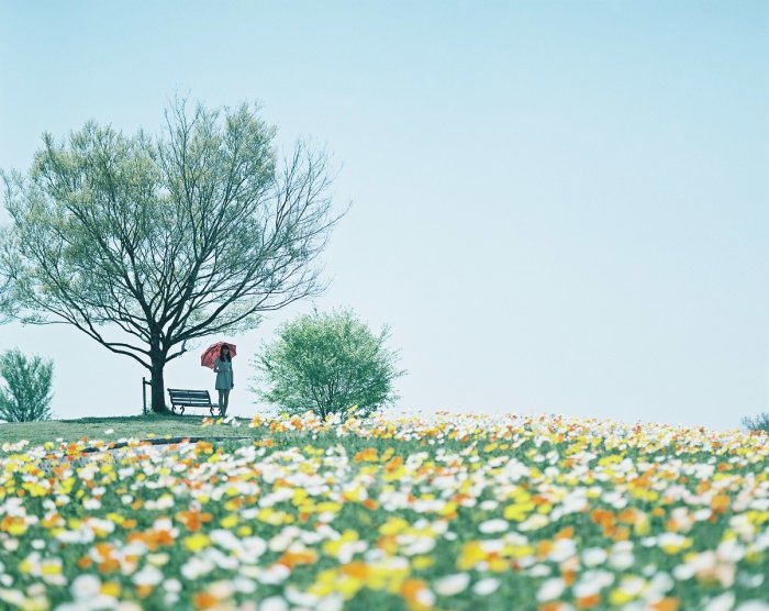 文学新年的祝福
