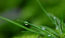 描写春雨的句子50句