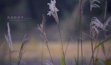 形容让人后悔的句子