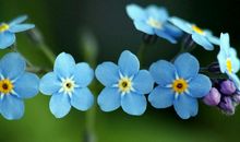 适合亲情发朋友圈的句子