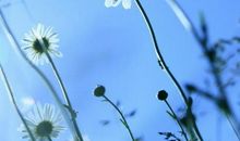 说亲情的英语句子