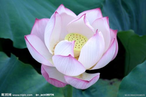 11.劳动节在这里。朋友们赶紧去消除烦恼，消除烦恼，一次消除疲劳，一起清理忙碌，时刻保持幸福！祝您搬家愉快！