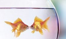 挽回爱情的句子短句