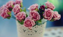 有关亲情升华主题的句子