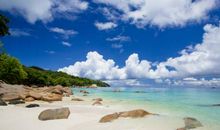 诗经中描述亲情的句子