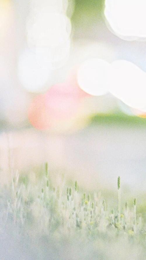 10.长大后，我意识到家庭感情仍然必须存在。当我们说要一辈子照顾他们时，他们仍然直截了当地说：“谁稀有！不是稀有吗？稀有！