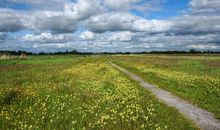 诗经中描写亲情的句子