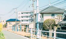 表达大家开心的句子