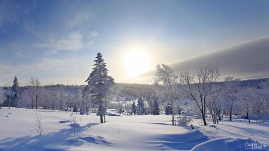 12.在生命的天空中，有风和阳光，还有覆盖雾的云。并非每一个太阳都是温暖的，不是每一个乌云都在下雨。由于您无法确定自己的命运方向，因此请每天稳步进行。