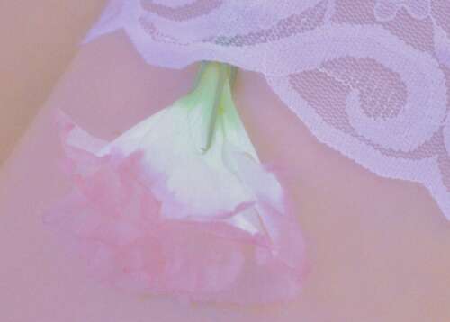 太空谈大全与图片