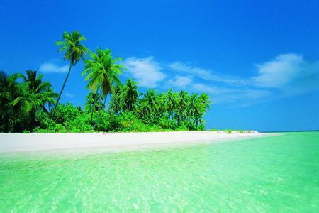 10.如果找不到坚持的理由,请找到重新开始的理由。生活就是那样简单。