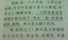 关于写景的优美句子