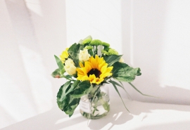 11.收到入场通知书后，我看起来像是一位经历了长期干旱和雨水的农民，就像一个渔夫看着雾海中的一座灯塔，我感到非常高兴，我真的不知道怎么形容！