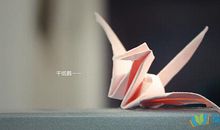 感恩真能量的句子