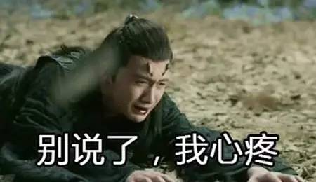 12.纸上写的故事总是有结局，而内心写的故事是没人知道的结局。但是，并非所有的痛苦都可以尖叫。