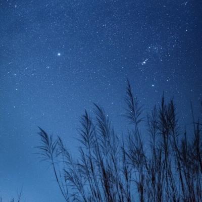 12.亲情是一种奇妙的力量;家庭感情是一个永不褪色的话题。家庭感情是一种陈年的葡萄酒,甜而醇厚;