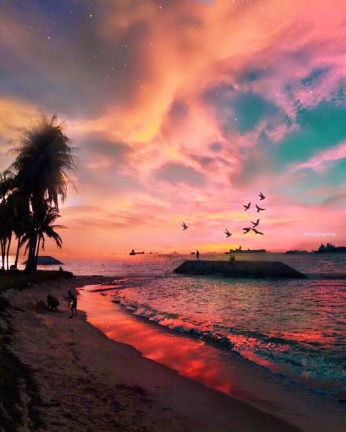 12.友谊，家庭之爱无处不在，但没有爱。