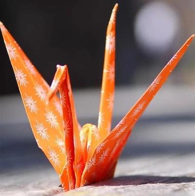 11，梦见你想做的事去你想去的地方;做你想成为的人，因为你只有一生，只有一次机会去做所有想做的事情。