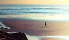 努力了珍惜了执着过不后悔的句子