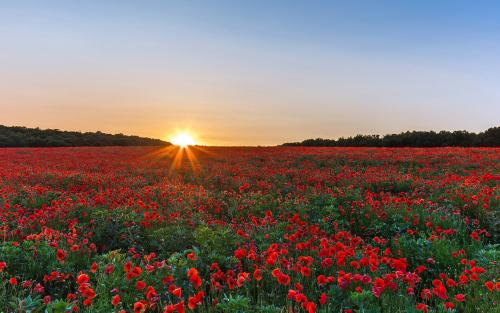 12.逐渐地。您将慢慢体验到所有家庭亲情。感觉！黑暗还是光明！