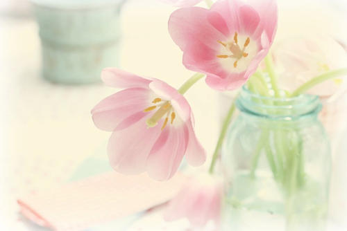 10.打败鼓,切断人行道,在秋天割断大雁的声音。卢聪今晚是白色,月亮是故乡。兄弟分散,没有家人要死。书的长度还没有达到,情况是部队没有被停职。 (杜甫:“月亮回想她的兄弟”)