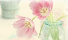 关于古风亲情的句子