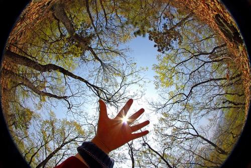 12.爷爷和妈妈听见女儿来了,出去帮郭将军;姐姐听到姐姐来了,照顾着红色的妆容。弟弟听到姐姐来了,对猪和羊磨刀。 (“花木兰”)