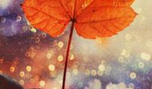 关于亲情家人的感人句子