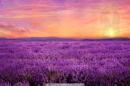 11.如果爱正在付出，在所有付出中，最庄严，最宝贵和最宝贵的就是给你时间。你的时间在哪里，爱在哪里