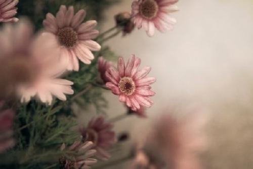 10.有些幸福只能通过自己的努力获得。那种幸福似乎使人们感到更持久，而当我想到它时，我也会感到幸福。