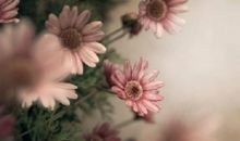 开心过后留下的只是回忆句子