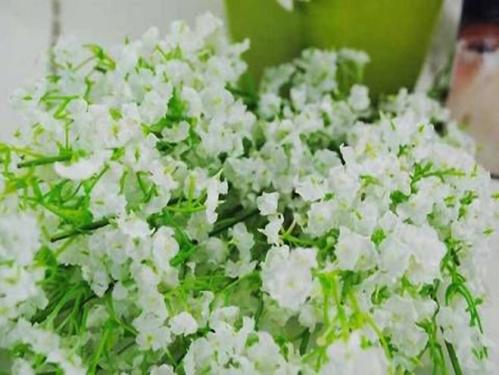 11.当您感到沮丧时，家人的喜爱就是使人们充满希望的梅花。看到它，您将看到所有的困难。