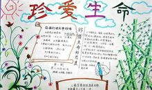 关于珍惜生命的句子