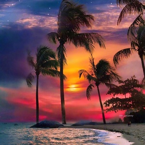 11.感谢您父母的鞭策,因为他们将消除您前进的障碍,感谢您父母的训斥