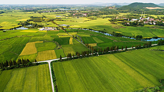 描述田园风光的句子