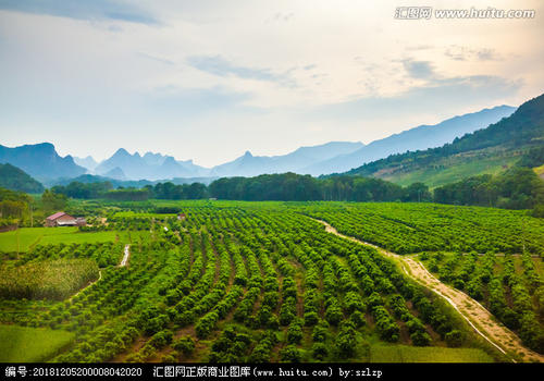 描述乡村风光的句子1