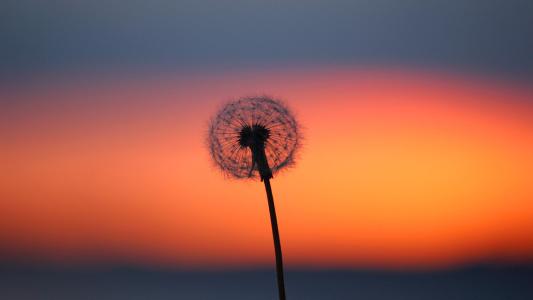 11.生活中的幸福和痛苦都是给予我们的礼物，它们都是注定“我是我”的体验环境。当我们看到生活中所有的相遇都是天赋，经验和磨光，而不是不幸时，所有的困难都将很容易解决。