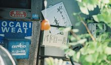 我和朋友玩得很开心的句子