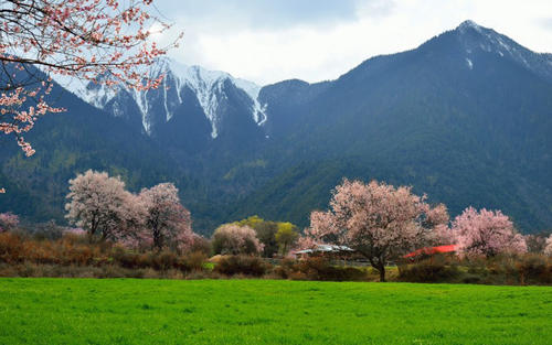 11.家庭感情是一把向后倾斜的吉他。爱越深，爱就越能打动你的心弦。亲情是一种垂悬的藤条，无论您身在何处，总能紧紧握住您的手；亲情是一堆钥匙挂在脖子之间，打开了忧郁的门窗。我的抒情小歌中，家庭情感在眉毛和眼睛之间，在浅浅的微笑中。