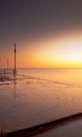 12.因为它们是为了培养您的智慧,所以感谢您父母为他们提供的一切,让我们珍惜自己的生活,并怀着感恩的心去关心。