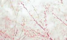 形容成长路上开心的句子